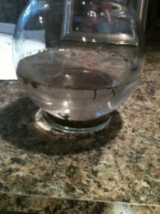 photo-10