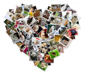 shape collage