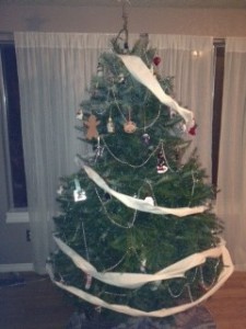 photo (4)