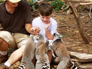 zoo