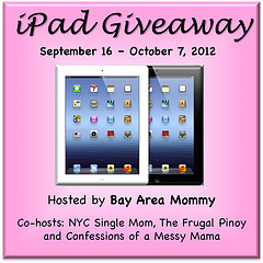 iPad Giveaway