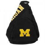 michigan backpack