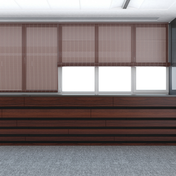 blinds rolls on the windows