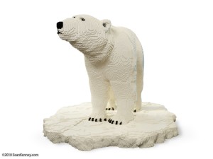 polar bear
