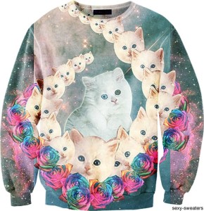 cat sweater