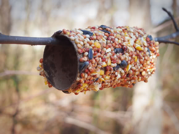 Fun Crafts To Do With Your Kids This Spring Mommies With Cents