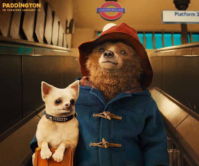 Paddington-Image5