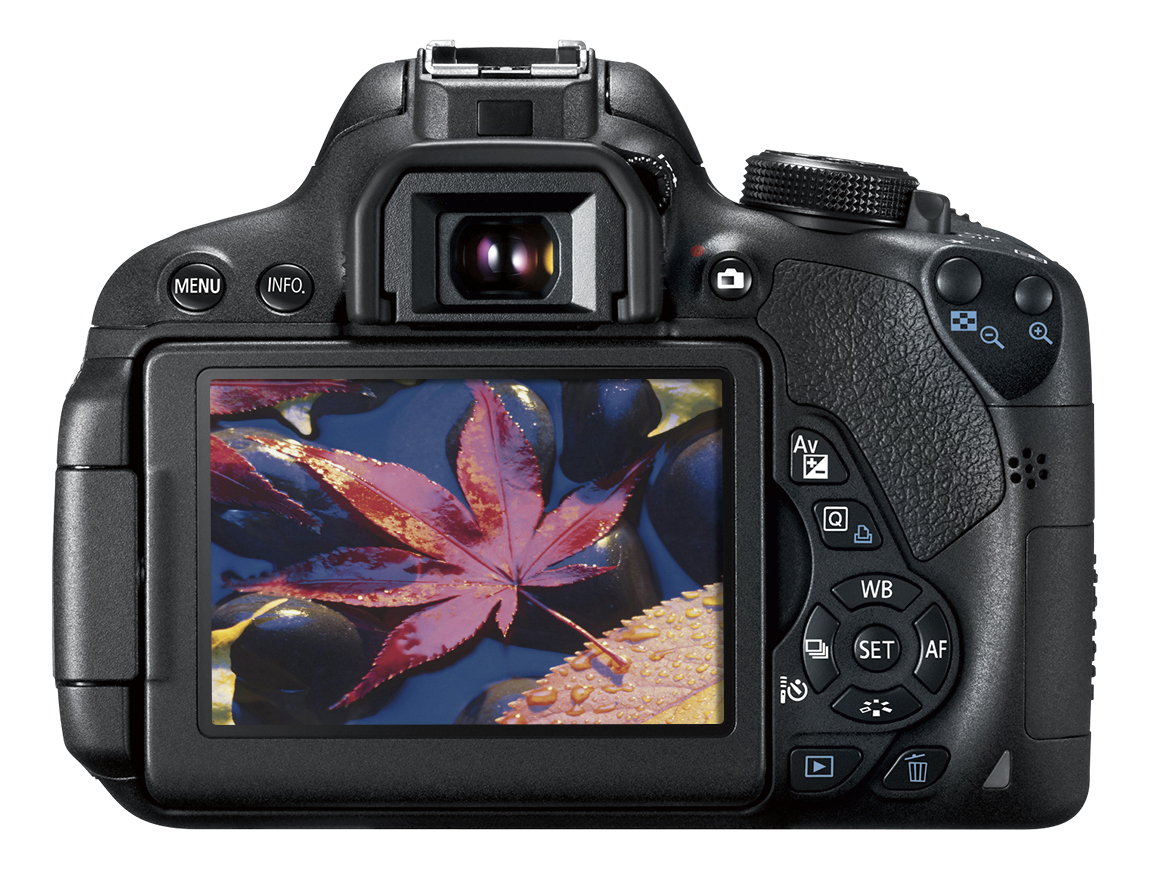 canon rebel back