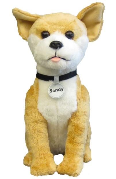 prize-sandy