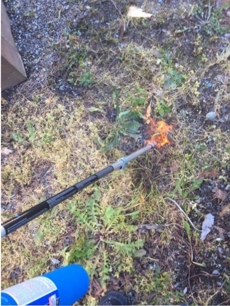 weed torch