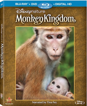 Monkey Kingdom