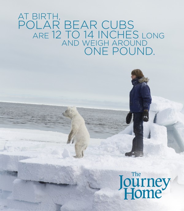 TheJourneyHome-Graphic1