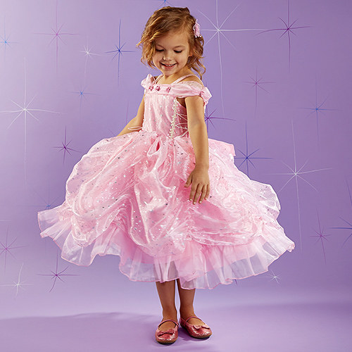 143361_princess_hp_2015_0712_cch1_1436468781