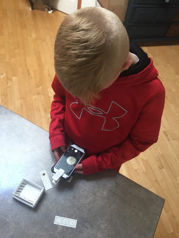 microscope