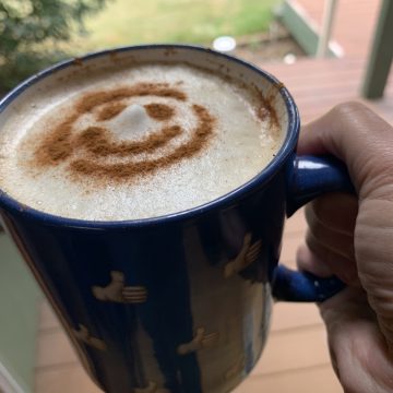 zulay milk frother