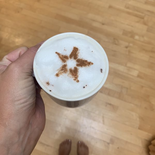 zulay milk frother