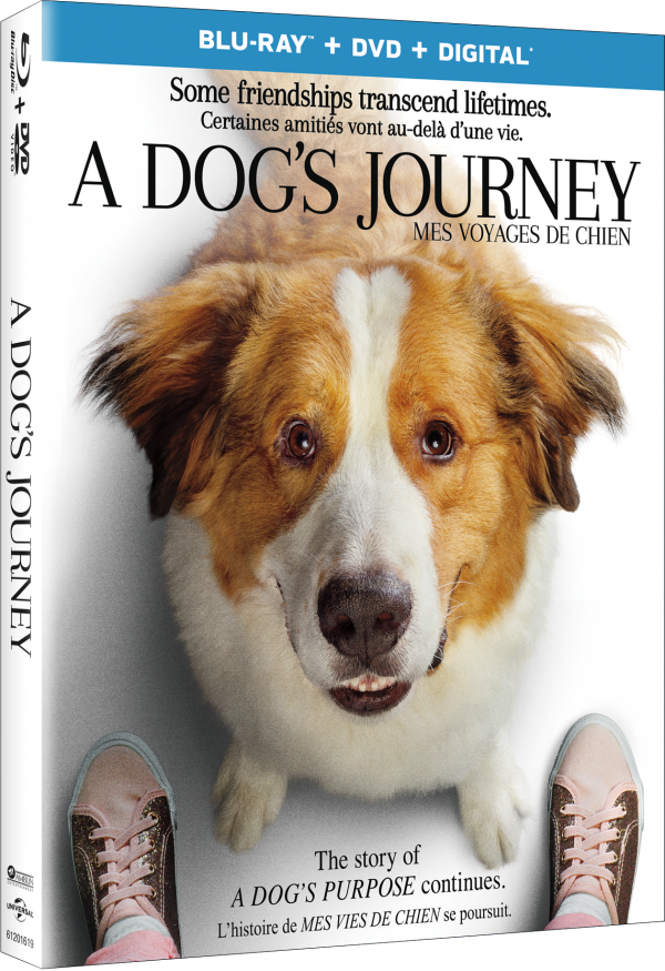 A Dog's Journey