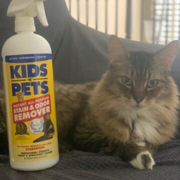 kids n pets